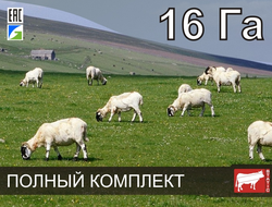 Электропастух СТАТИК-3М для коз на 16 Га - Удержит даже самого наглого козла!