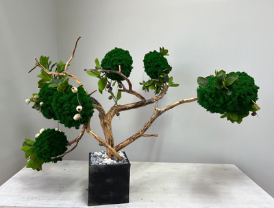 Живая эко-композиция 1006