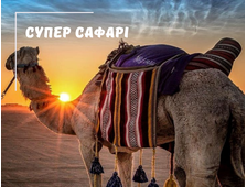 СУПЕР САФАРІ (Ель Кусейр, Порт Галіб, Марса Алам)