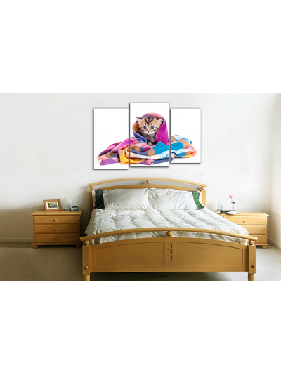 Модульная картина "Котенок в шали"