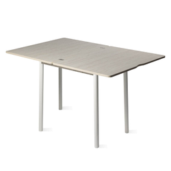 Дуэт 4 Стол обеденный 600*800 раскладной Пикард/белый 3,1