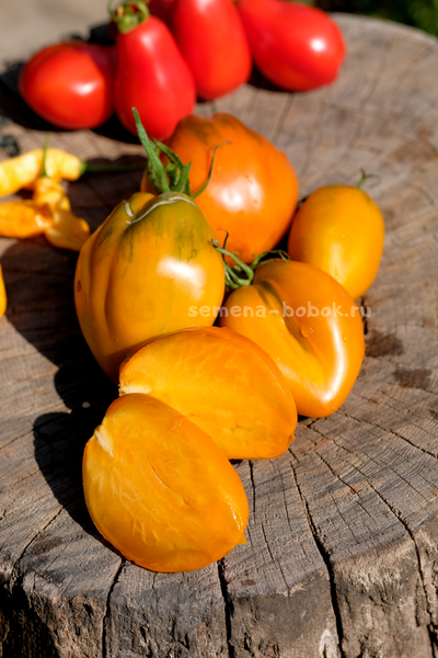 Томат Огненный гребень цвета Охра (Cresta di Fuoco), 10 шт