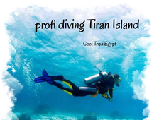 Professional diving near Tiran Island from Sharm El Sheikh