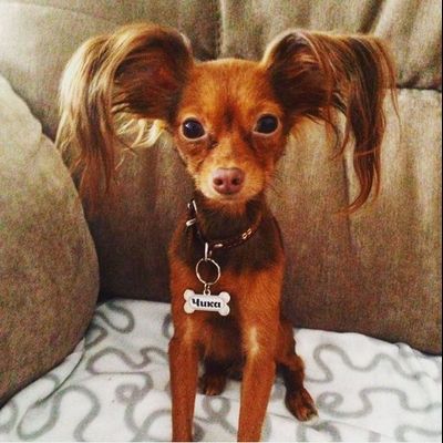 Заготовка «косточка» в сборе, с бортиками. Комплект 10 штук