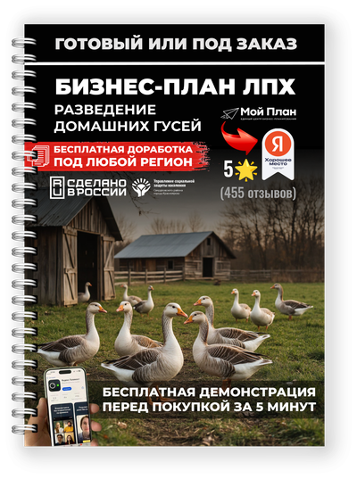 Бизнес-план для ЛПХ: Разведение гусей