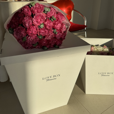 Транспортировочный бокс