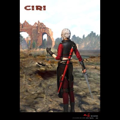 Цири в доспехах (Ведьмак 3, The Witcher) - КОЛЛЕКЦИОННАЯ ФИГУРКА 1/6 Ciri Armored (J-002) - Nine Craftsmen