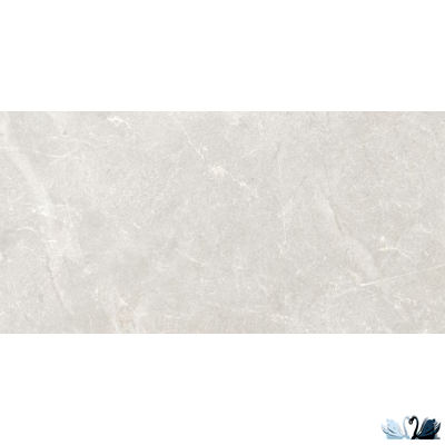 Керамогранит Ocean Ceramic Rocky Bianco PRO светло-серый 60 x 120 см матовый