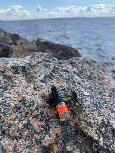 Духи АККОРД: ЧЁРНЫЕ КОШКИ 2,5 мл