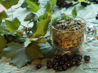 Лист смородины (100 гр)