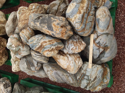 Валун Бонус Мигматит