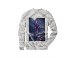 Свитшот Borderlands, Бордерленд №12