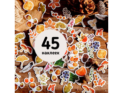 Наклейки. Дары осени (45 шт.)