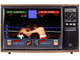 Evander Holyfields Real Deal Boxing (Sega Game)