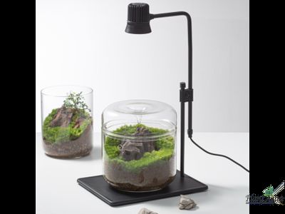 Лампа Biolark TF-03 для чаши Лудзи MY-120/120H и Пузырь.