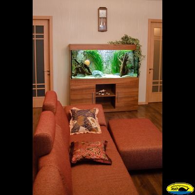 Аквариумный прямоугольный комплекс 300 (Тип тумбы 10)