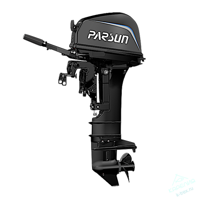 Лодочный мотор Parsun T9.9Pro BMS (18)