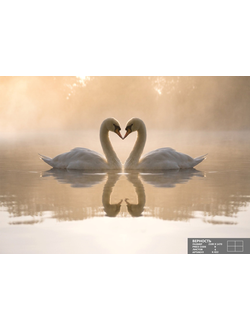 Фотообои Симфония "ВЕРНОСТЬ"