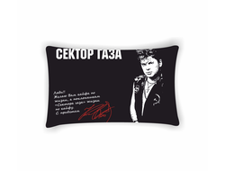 Подушка Сектор Газа, Юрий Хой №51