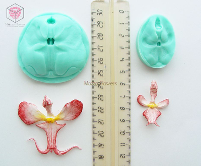 "Серединка орхидеи фаленопсис" вайнеры и каттеры