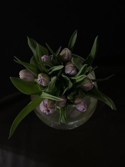 Тюльпаны 9 шт