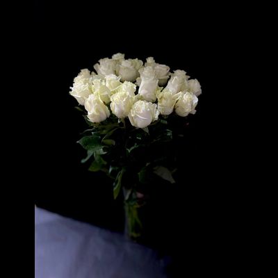 Роза Эквадор белая Мондиаль 60 см. 25 шт