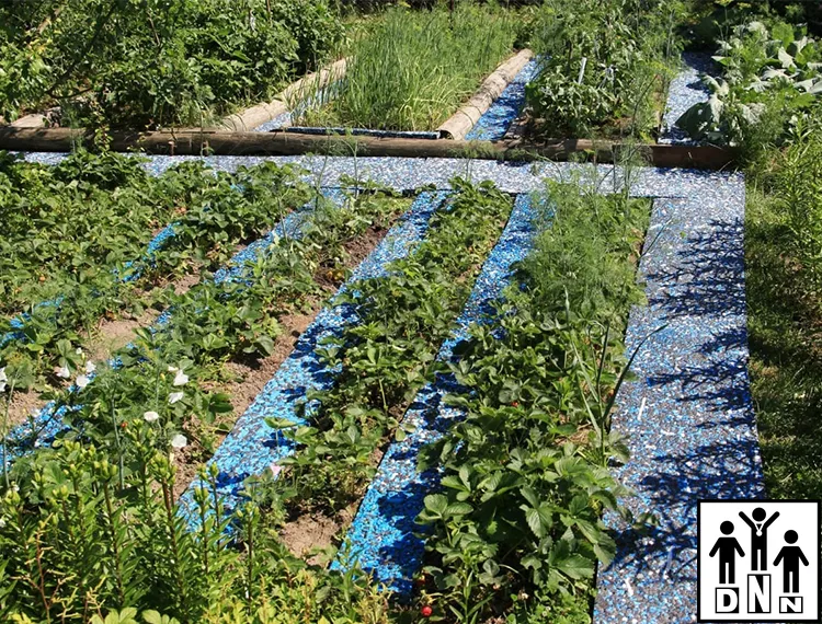 Дорожки для грядок между грядка