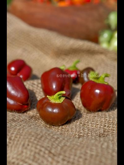 Перец Сладкий Mini Bell Сhocolate (Мини Белл Шоколадный), 10 шт