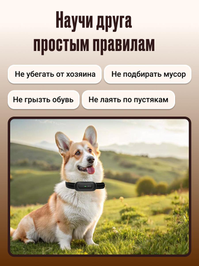Электронный ошейник для дрессировки собак TC-20