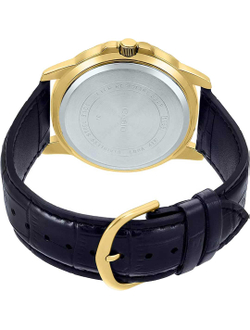 Часы Casio MTP-VD01GL-1E