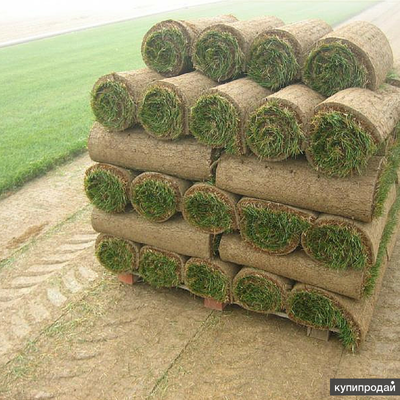 Рулонный газон "Премиум"