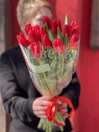 15 красных тюльпанов