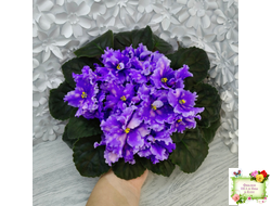 МТ-XXL Эльф (М. Тотиева) 2022 г.