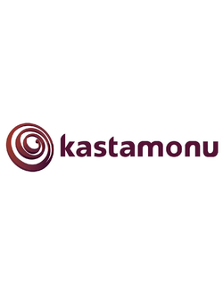 Ламинат Kastamonu