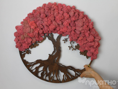 ЖИВАЯ ЭКО-КАРТИНА 1020