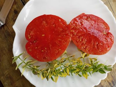 Томат Клавдия еремеевская