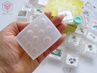 Набор молдов "Ягоды"