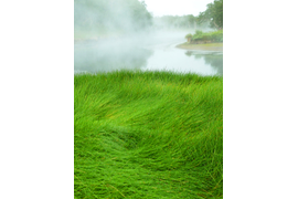 термальная река