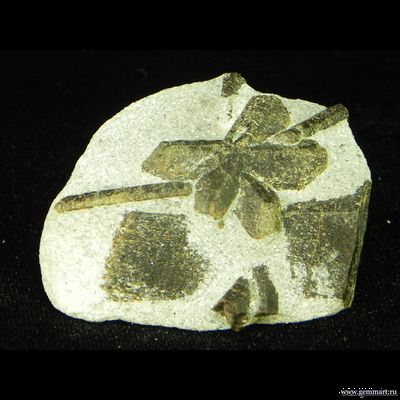 Ставролит, тройник с фрагментами кристаллов на сланце. Россия. 55*42*15мм