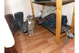 Кунина В А "Интересно"