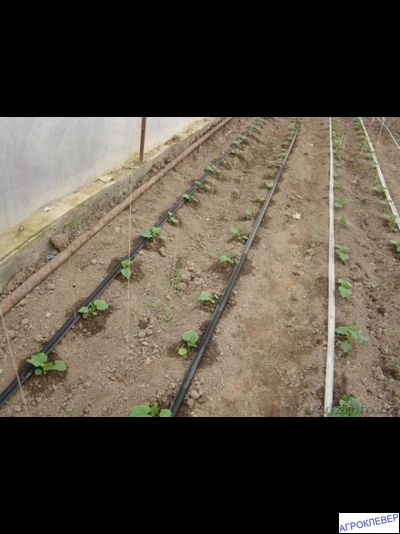 Капельная лента Шаг 30см бухта 100м 6mils