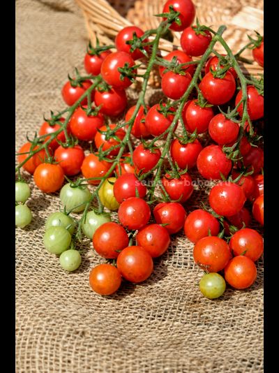 Томат-черри  Красная Вишня, 10 шт