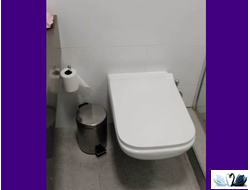 Унитаз подвесной Geberit Renova Plan 202170000, безободковый