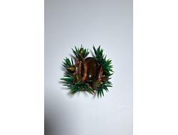 брошь с янтарем