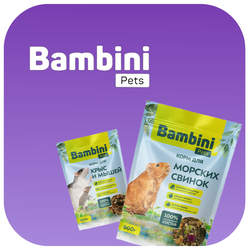 Bambini Pets (Бамбини Петс)