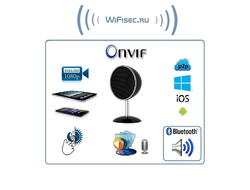 WiFi видеоняня/музыкальная беспроводная колонка Bluetooth, с DVR. Full HD (HDSmartIPC)