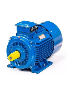 Электродвигатель 5АИ 200L2 (45 кВт) IM 1001