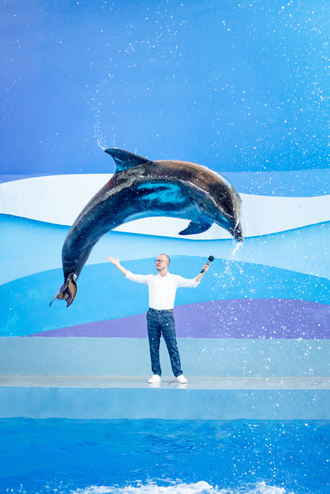 Дельфинарий в парке Ривьера