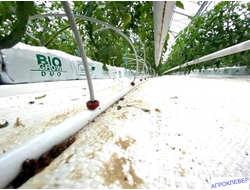 Трубка ПВХ 3х5 (100м) белая