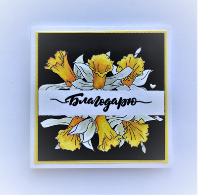 ФП штамп "Нарциссы"